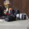 Canon EOS R Review: solid first full-frame mirrorless, but starting to feel dated