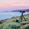 Teleconverters explained: how to double your reach without buying a second lens