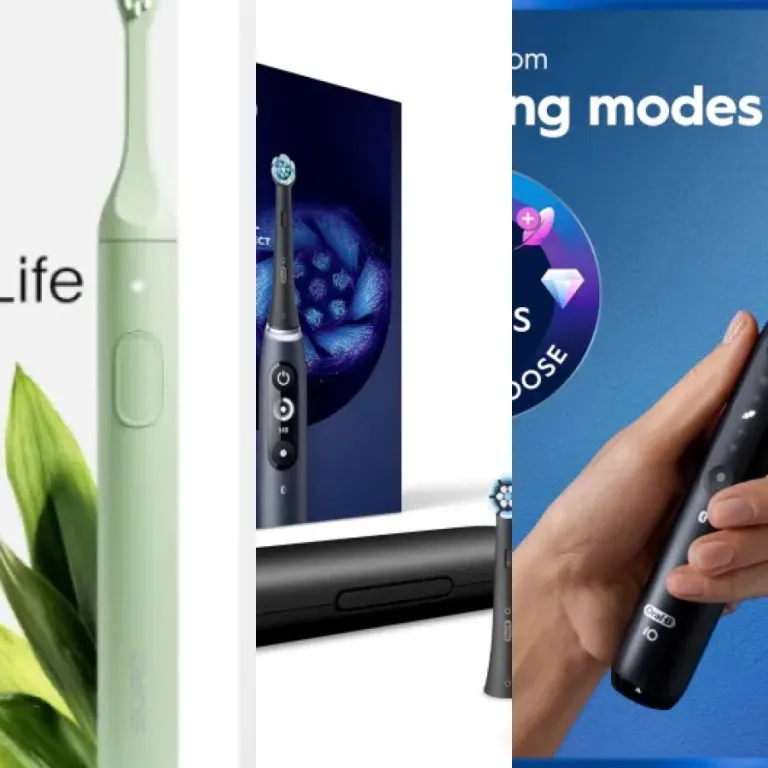 Ranking of the 3 best electric toothbrush travel cases (October 2026)