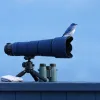 Photographing birds in your own backyard: reach, patience, and the settings that matter