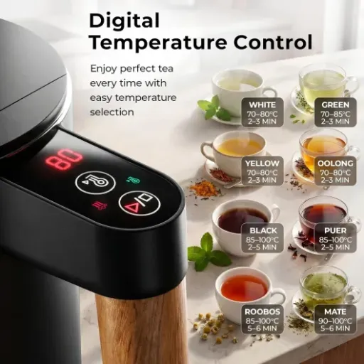 BALTER WK-08 Electric Kettle Review: quiet stainless steel kettle with real temperature control