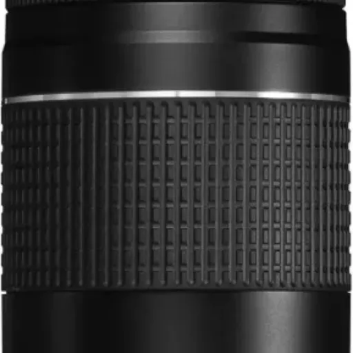 Canon EF 75-300mm f/4-5.6 III Review: budget telephoto zoom for beginners