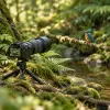 Sony's new 100-400mm F4.5 GM: constant aperture and triple the autofocus speed for wildlife shooters
