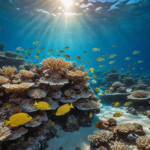 Top Picks for Capturing Stunning Underwater Photos