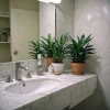 Exploring the Benefits of a Colgate Electric Toothbrush
