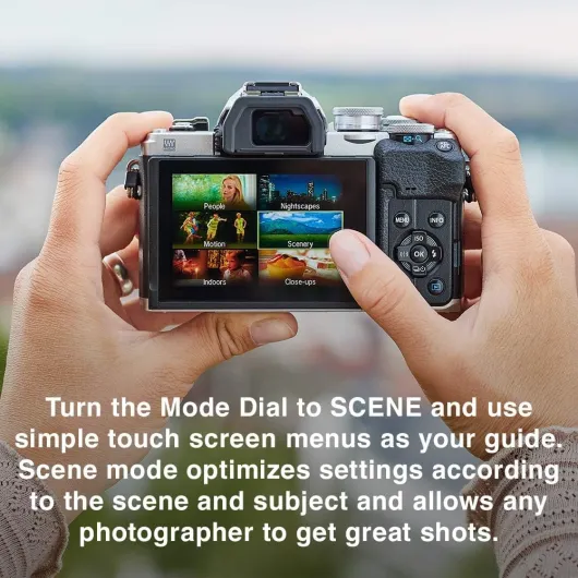 71wDN0-yeTL._AC_SL1000_