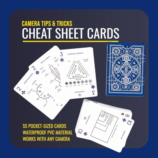 81zKVuY8v5S._AC_SL1500_