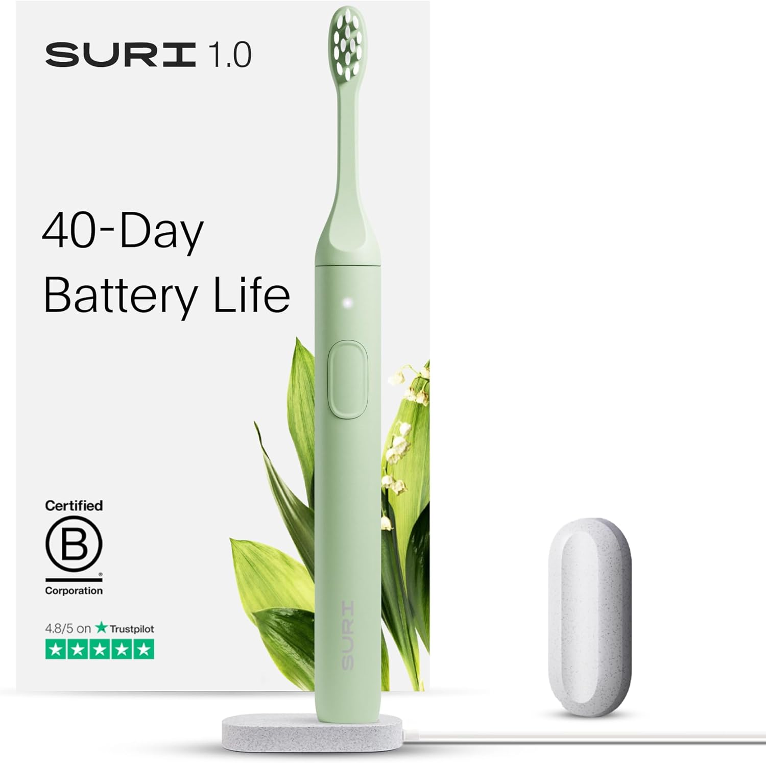 1.0 Sonic Electric Toothbrush - 1 Month+ Battery - Designed in California - Electric Toothbrush for Adults - Travel Toothbrushes - Tooth Brush - Green Toothbrush Winter Fern