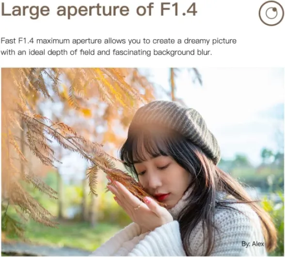 612pH-hTkXL._AC_SL1000_