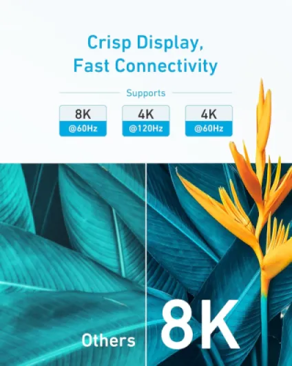 815400NsDXL._AC_SL1500_