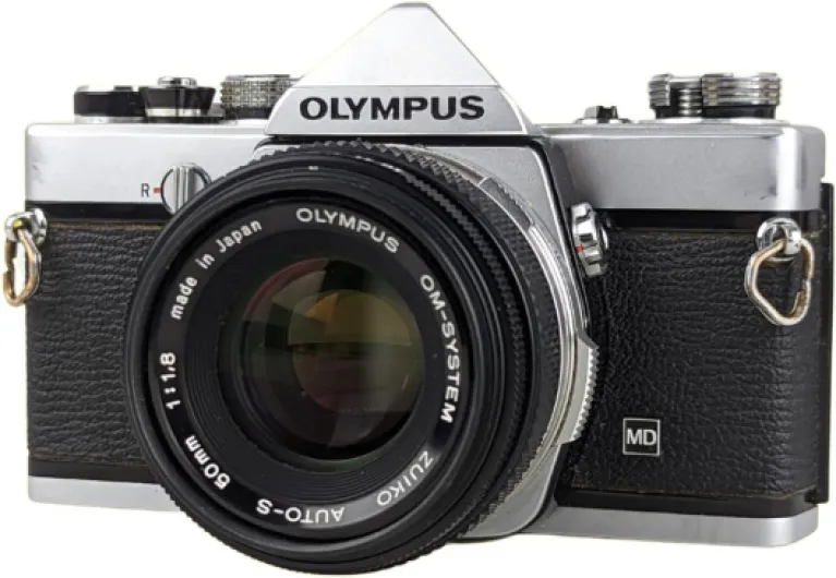 61fwpmdRN1L._AC_SL1080_