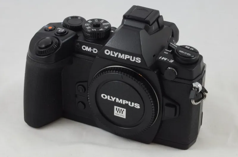Olympus OM-D E-M1 Mirrorless Digital Camera with 16MP and 3-Inch LCD (Body Only) (Black) Black Body Only Base
