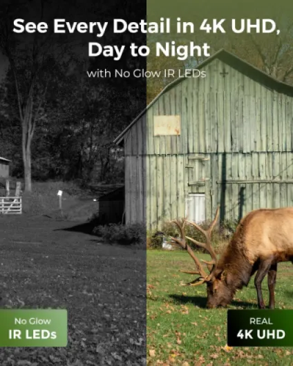 81Yn9tqCD8L._AC_SL1500_