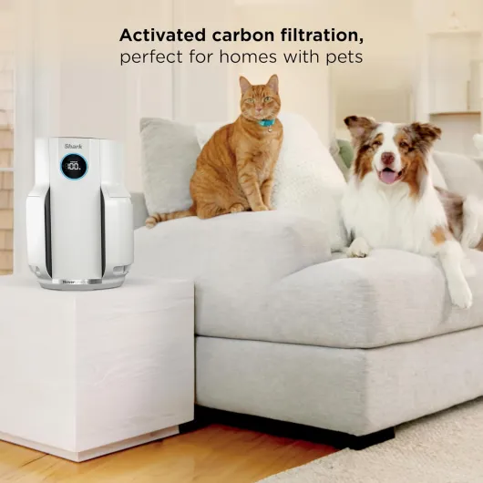 Air Purifier for Home, NeverChange, for Large Room, Bedroom, Home Office, HEPA-Exceeding Filter, Captures Pollutants, Pet Dander, Dust, Odor, Smoke, and More, HP153, White White (650 sq - ft)