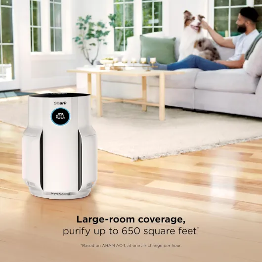 Air Purifier for Home, NeverChange, for Large Room, Bedroom, Home Office, HEPA-Exceeding Filter, Captures Pollutants, Pet Dander, Dust, Odor, Smoke, and More, HP153, White White (650 sq - ft)
