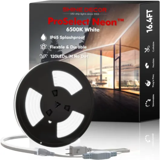 LED Neon Rope Lights AC 120V, ETL-Listed Flexible 120LEDs/M Dotless Strip Lighting, Custom Cuttable & IP65 Waterproof for Indoor Outdoor, 7x14.5mm, 6500K Cool White, 16.4FT Cool White 16.4FT/5M