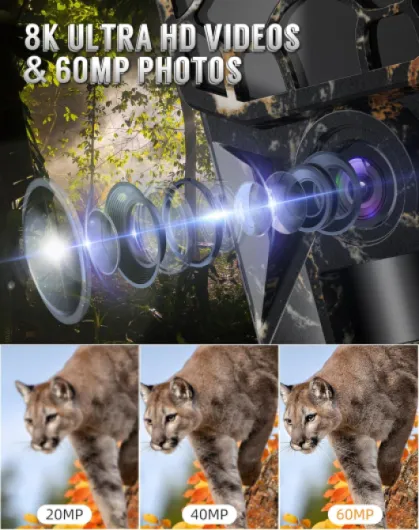 81VkouDVQQL._AC_SL1500_