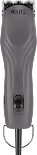 61Rtyh5OE6L._AC_SL1500_