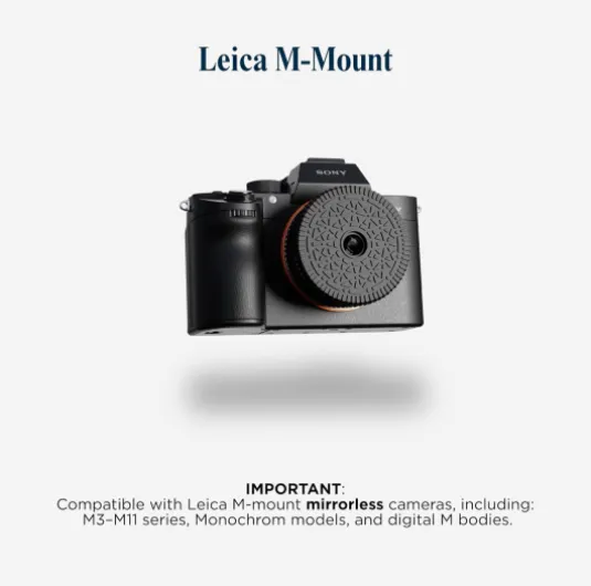 61AmF4GvZ7L._AC_SL1500_