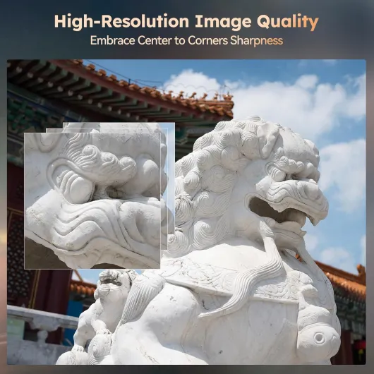 71jXO8eygHL._AC_SL1500_