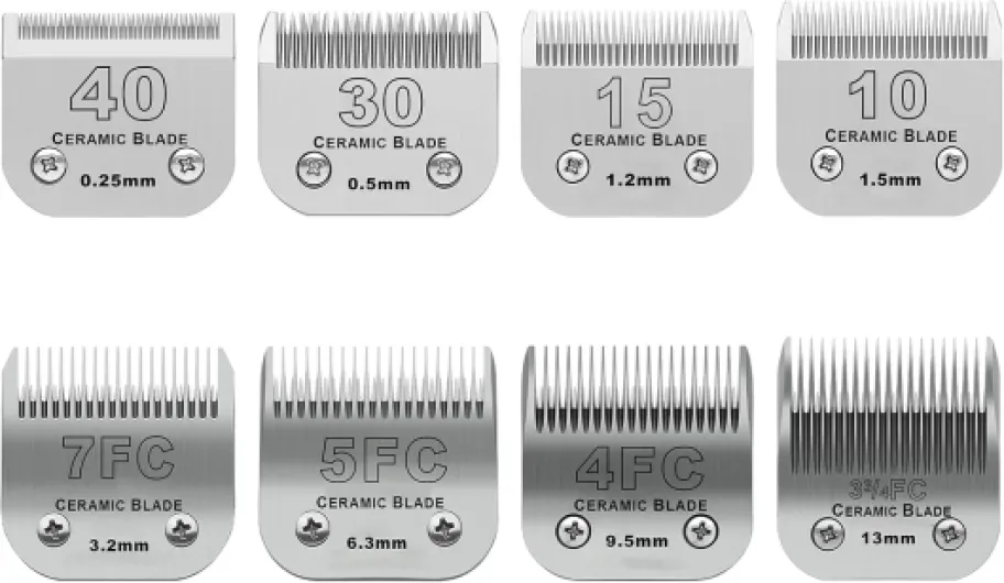 71yfexk1OHL._AC_SL1500_