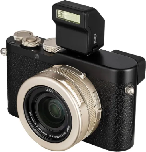 81LQnFDAg-L._AC_SL1500_