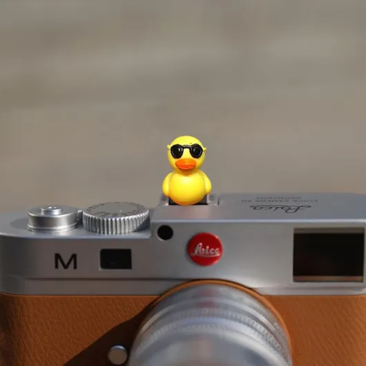 51RGoouA-DL._AC_SL1000_