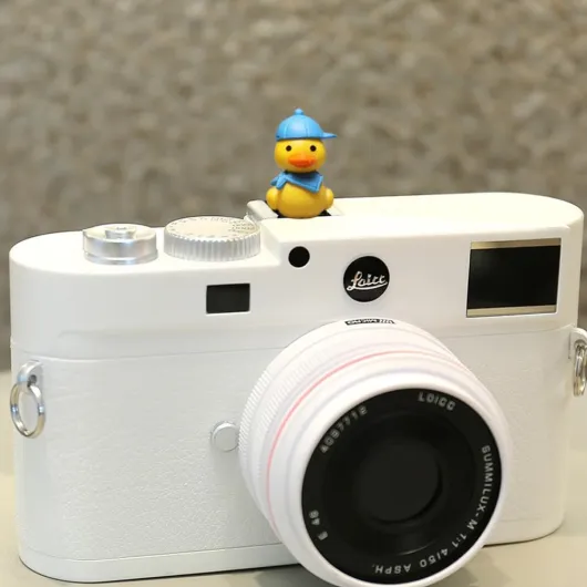 61CMupI53hL._AC_SL1000_