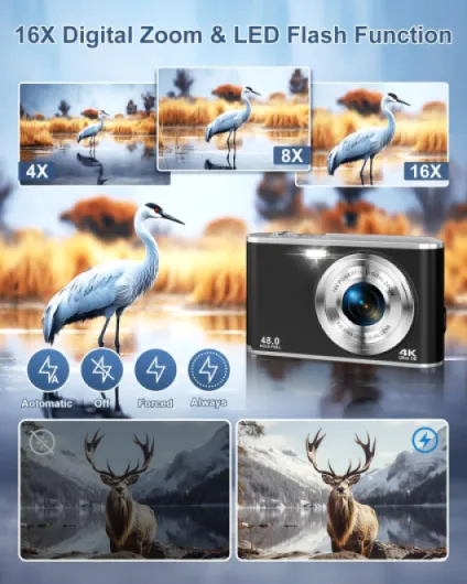 71fD11JOMEL._AC_SL1500_