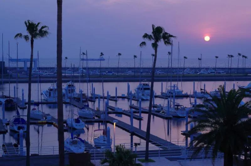 91a8xnWTpqL._AC_SL1500_