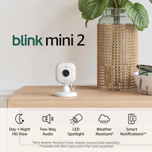 Mini 2 — Home Security & Pet Camera with HD video, color night view, motion detection, two-way audio, and built-in spotlight — 1 camera (White) White Camera 1 Camera