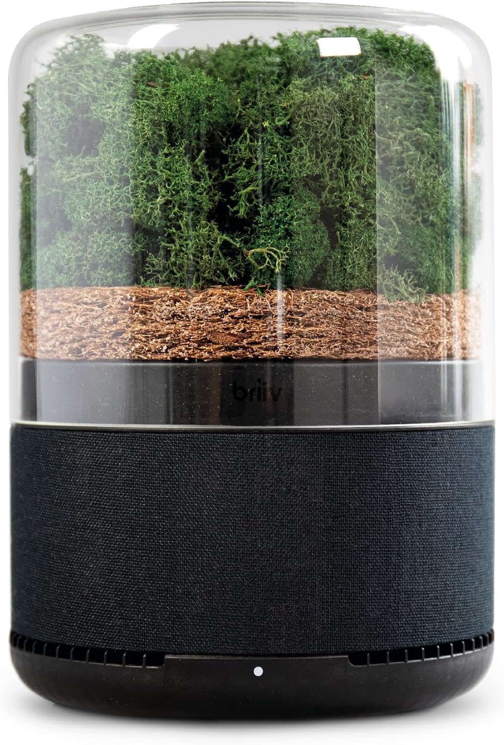 Briiv Air Filter