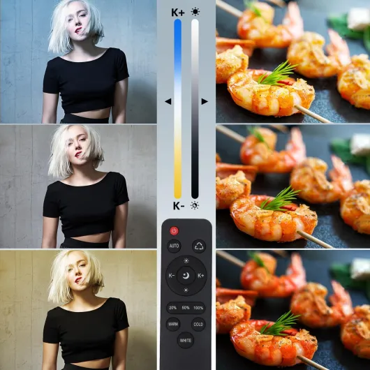 71bShy8pCPL._AC_SL1500_