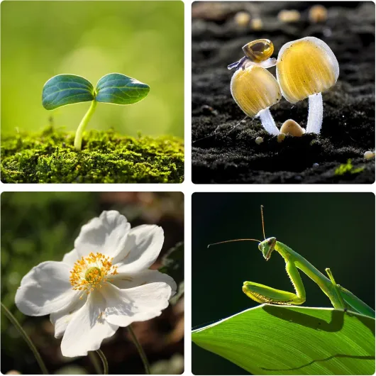 81r74h4XSxL._AC_SL1500_