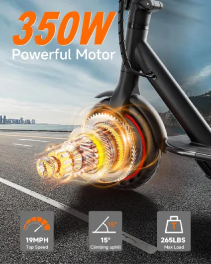816JPbpuyLL._AC_SL1500_