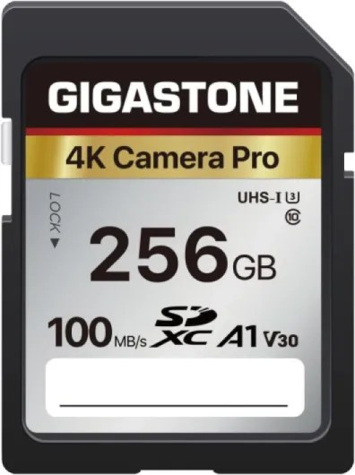 【5-Years Data Recovery】 GIGASTONE 256GB SD Card, 4K Camera Pro, A1 V30 SDXC Memory Card 4K UHD Video Compatible with Canon Digital Camera, with 1 Mini Case 4K Camera Pro 256GB