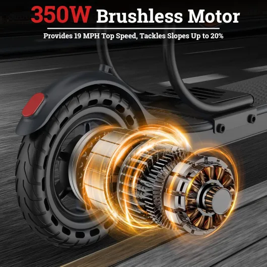 81rDBrqbeNL._AC_SL1500_