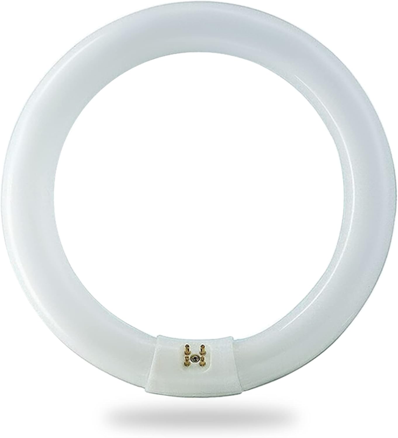 FC8T9/CW 22 Watt 8 Inch Round T9 Fluorescent Circular Light Bulb, Cool White 4100K, 1120 Lumens G10Q 4-Pin Base 22W Circline Ceiling Lights