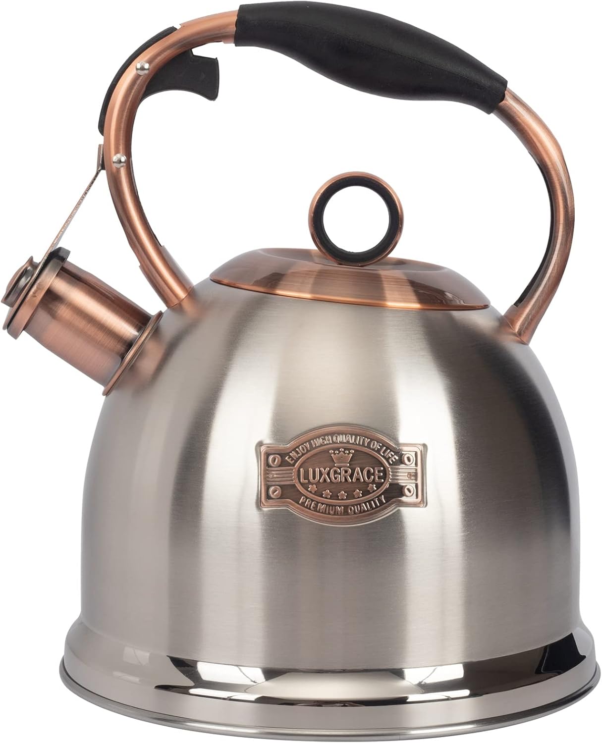 Whistling Stovetop Tea Kettle Food Grade Stainless Steel, Hot Water Fast to Boil for Stove Top-3.0Q Silver-RW