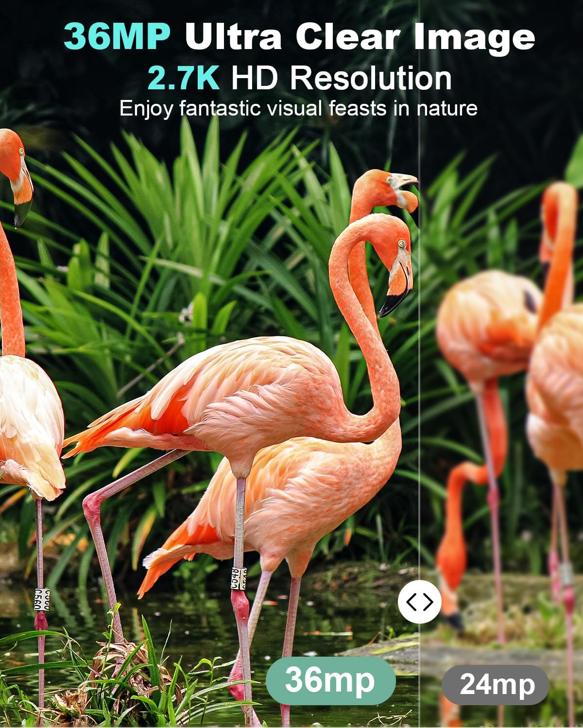 Trail Camera 36MP 2.7K, Mini Game Camera with Night Vision 0.1s Trigger Time Motion Activated 130°Wide-Angle, Waterproof Trail Cam with 2.0” HD TFT Screen, Hunting Camera for Wildlife Monitoring Green