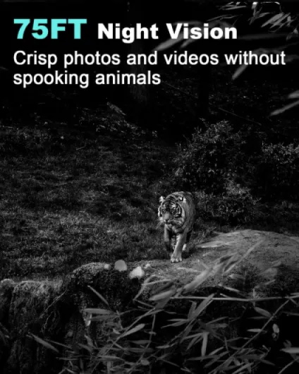 81kHRgurTpL._AC_SL1500_