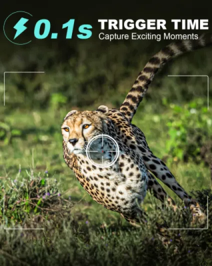 71gbcjzdzOL._AC_SL1500_