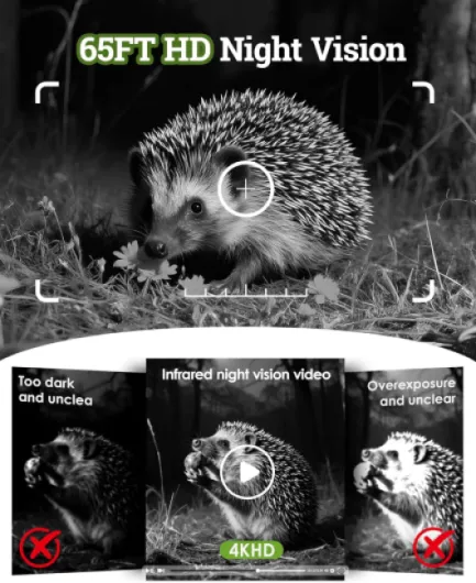 81BgcJ1gRyL._AC_SL1500_