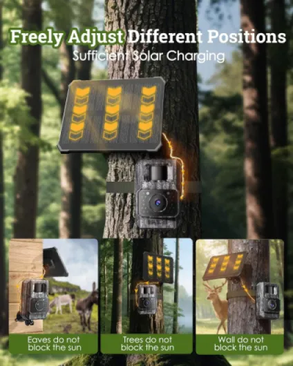 81jL-g8j9FL._AC_SL1500_