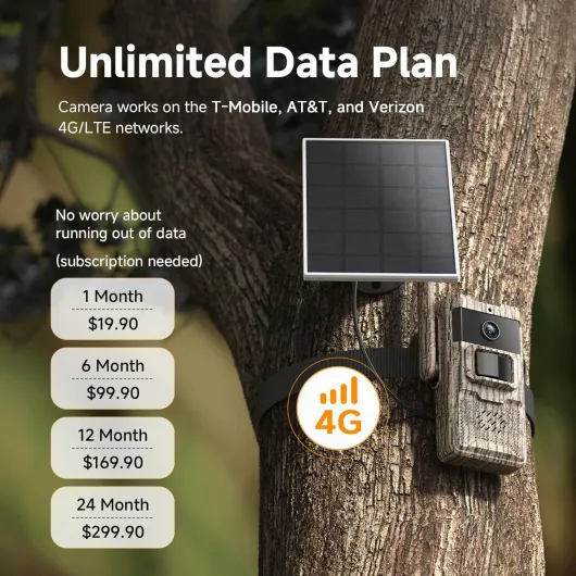 81-RCq-D2oL._AC_SL1500_