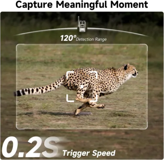 71hr339PonL._AC_SL1500_