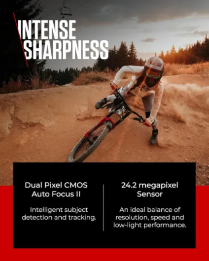 81sePW1-aDL._AC_SL1500_