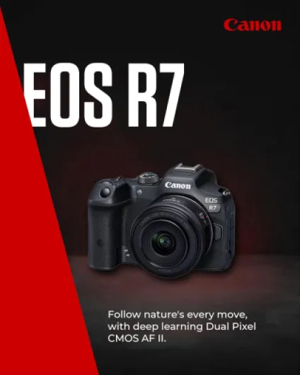 EOS R7 Body - 32.5 MP APS-C CMOS Sensor - Dual Pixel CMOS AF II - In-Camera Compositing - UVC/UAC Compatible