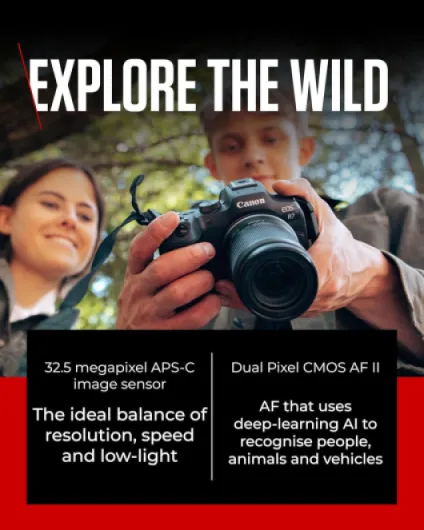 81y7dYcQBbL._AC_SL1500_