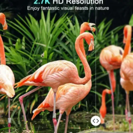 KJK Trail Camera 36MP 2.7K Review: A Practical Companion for Wildlife Enthusiasts